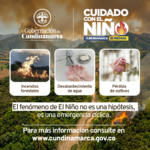 Noticia De Cundinamarca